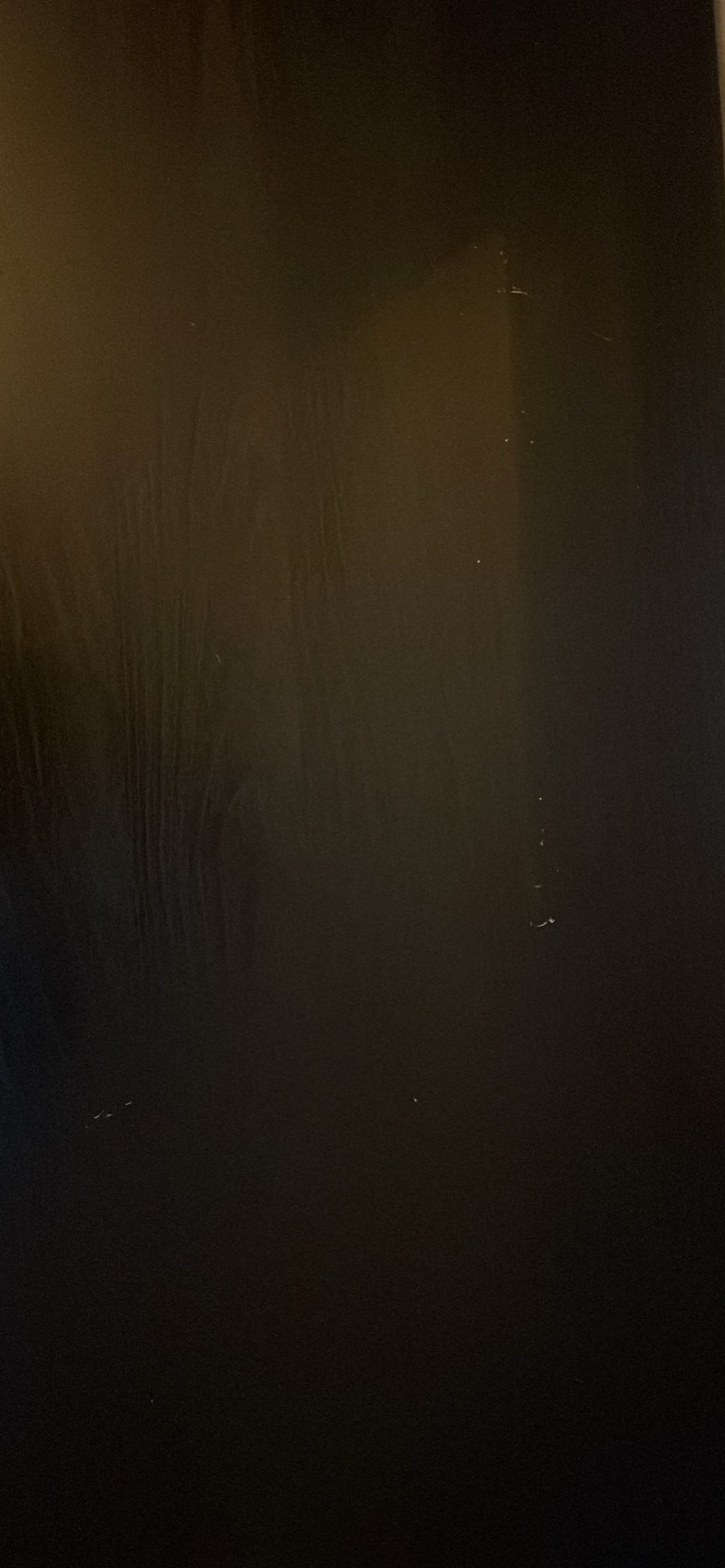 Säljarens foto