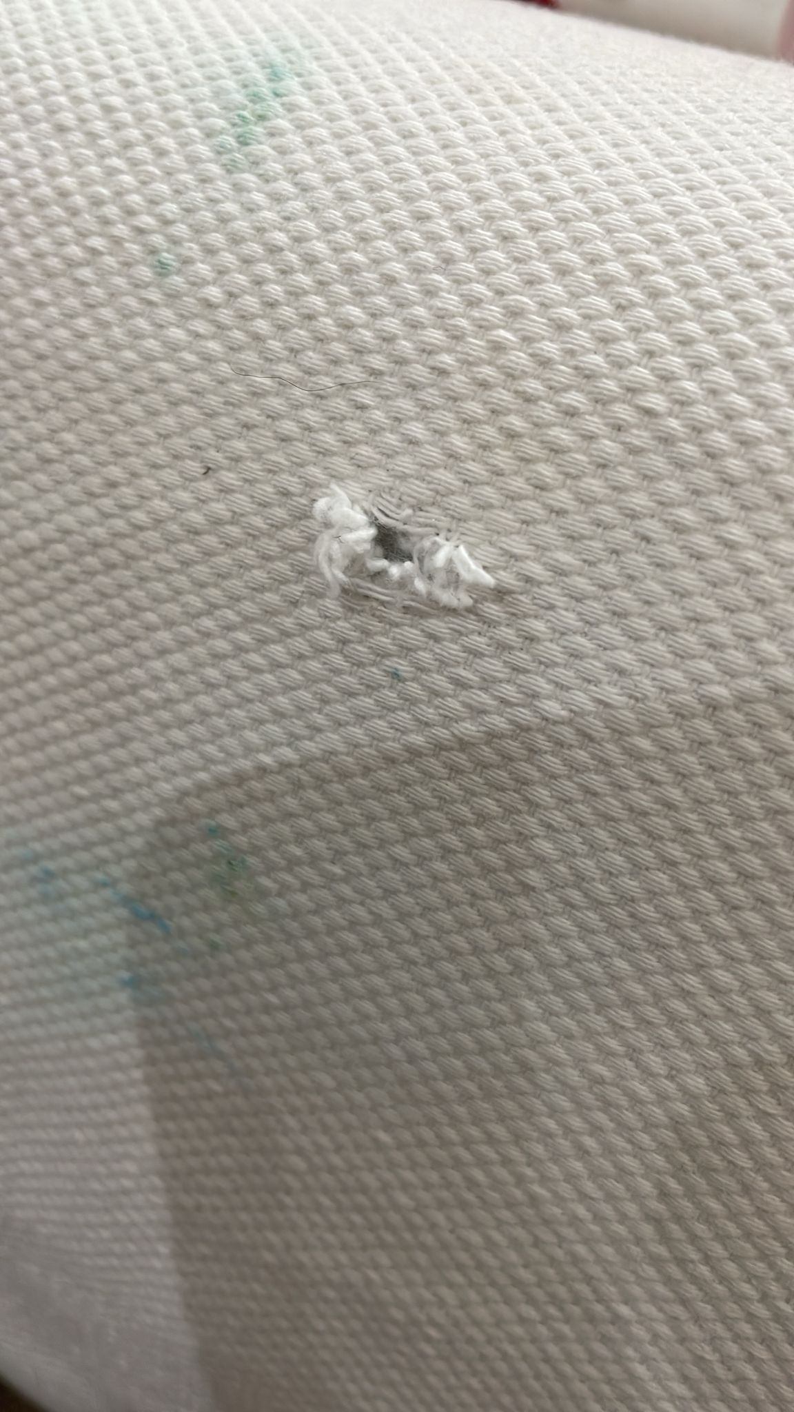 Seller photo