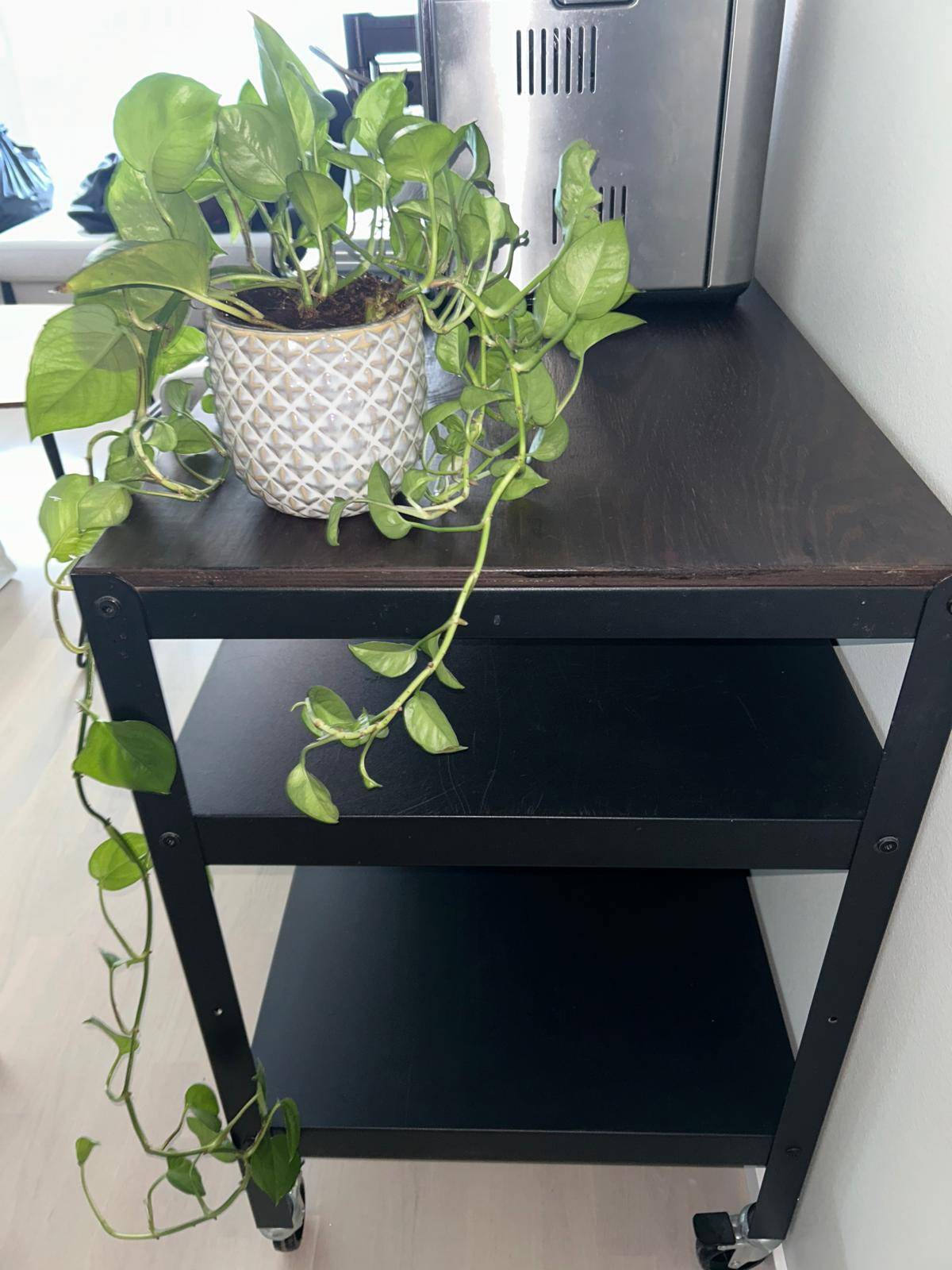 Seller photo
