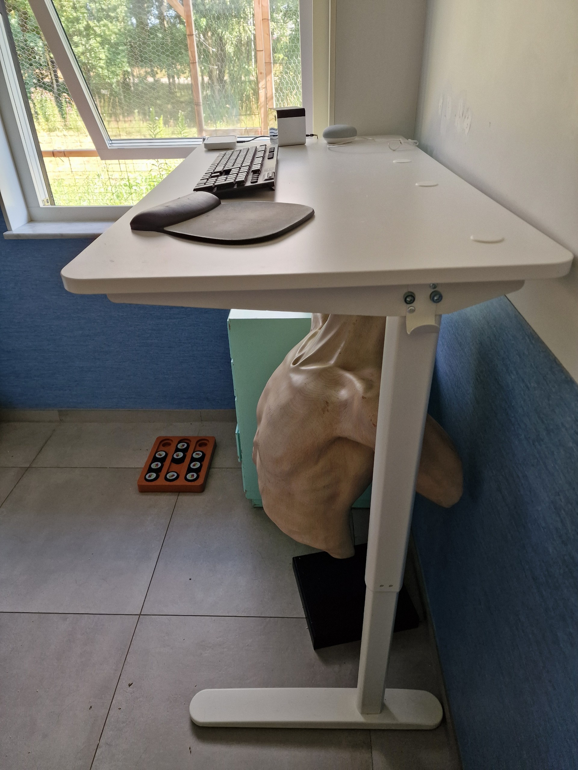 Seller photo