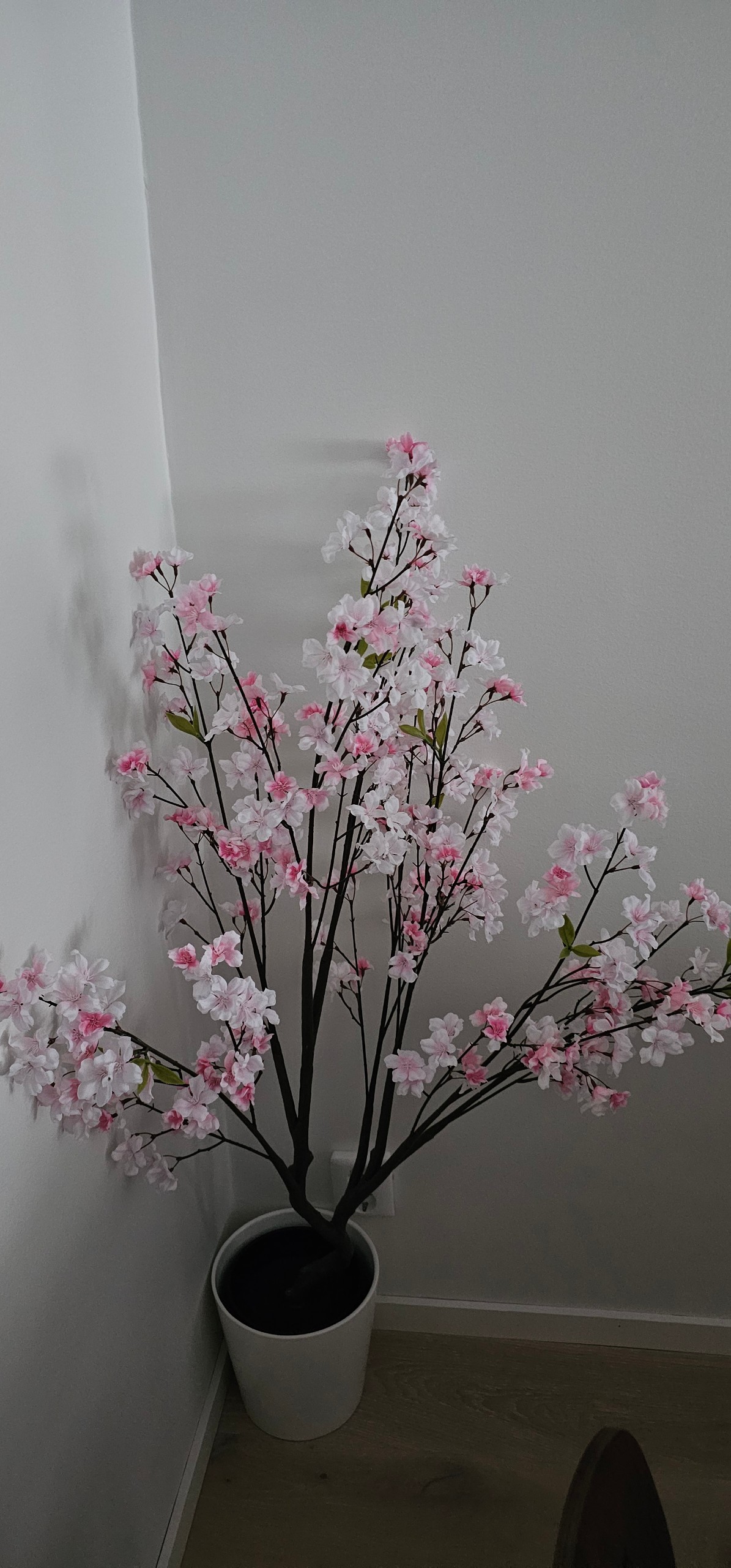 Seller photo