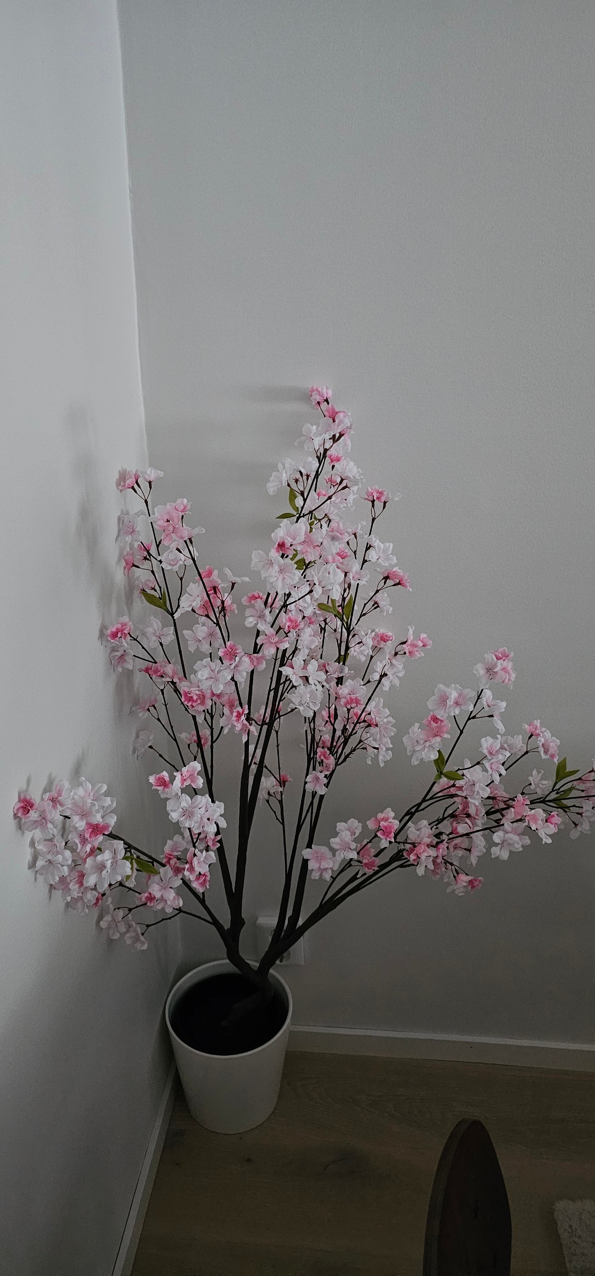 Seller photo
