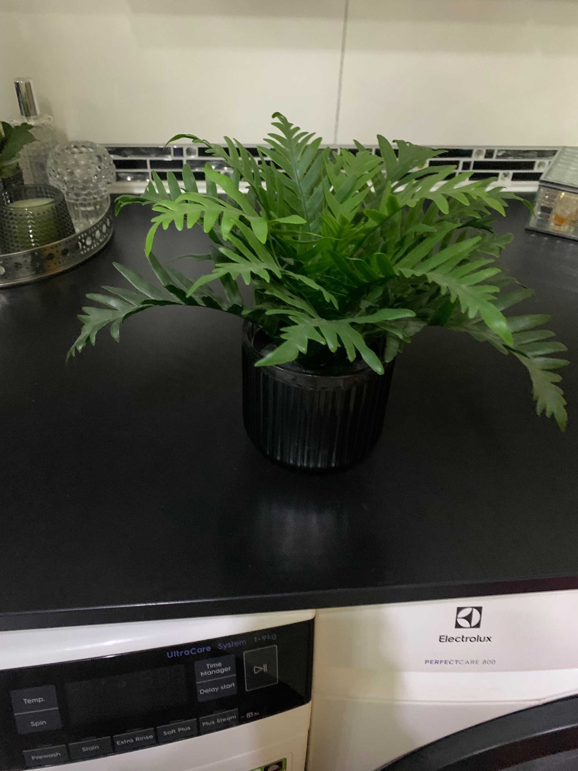 Seller photo