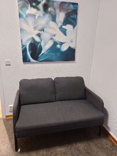 Säljarens foto