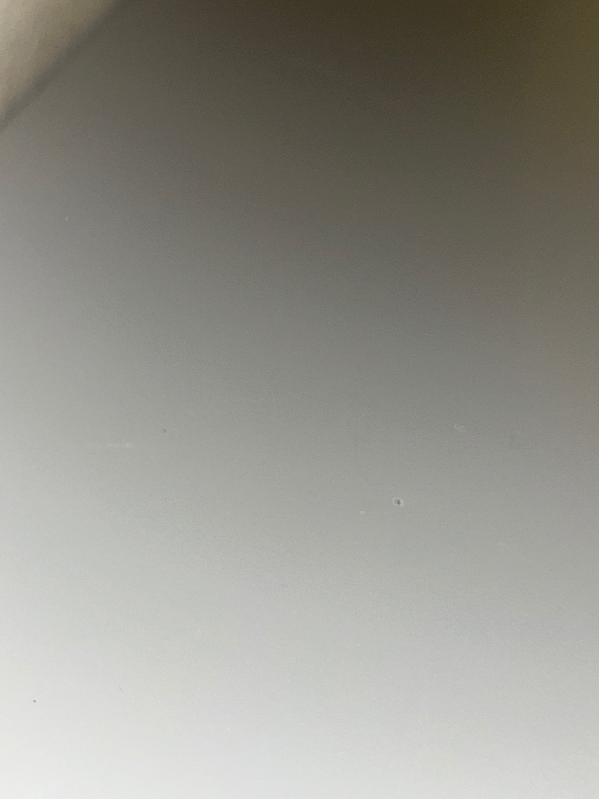 Säljarens foto