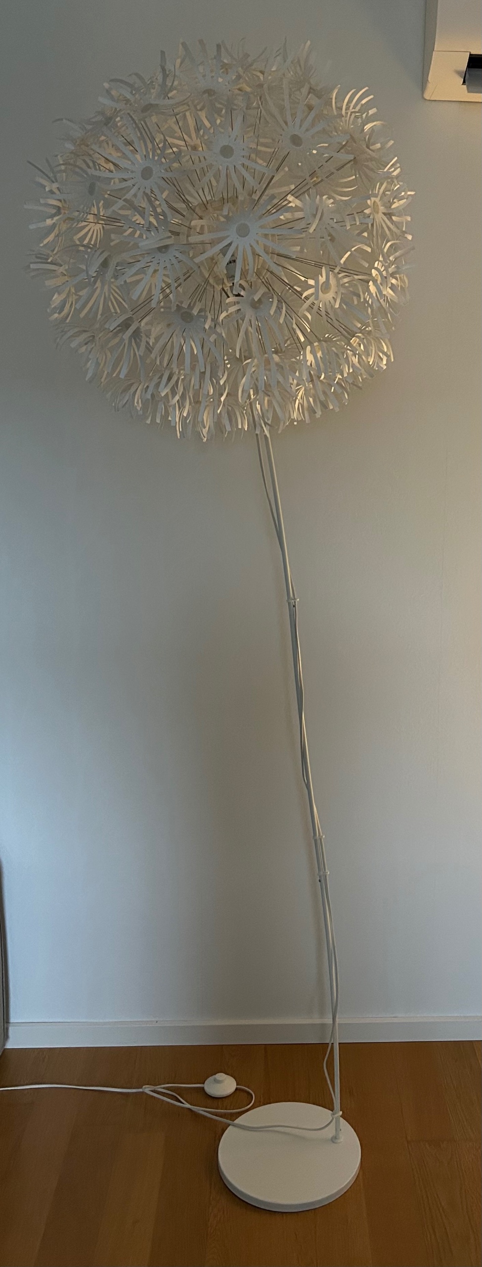 Seller photo