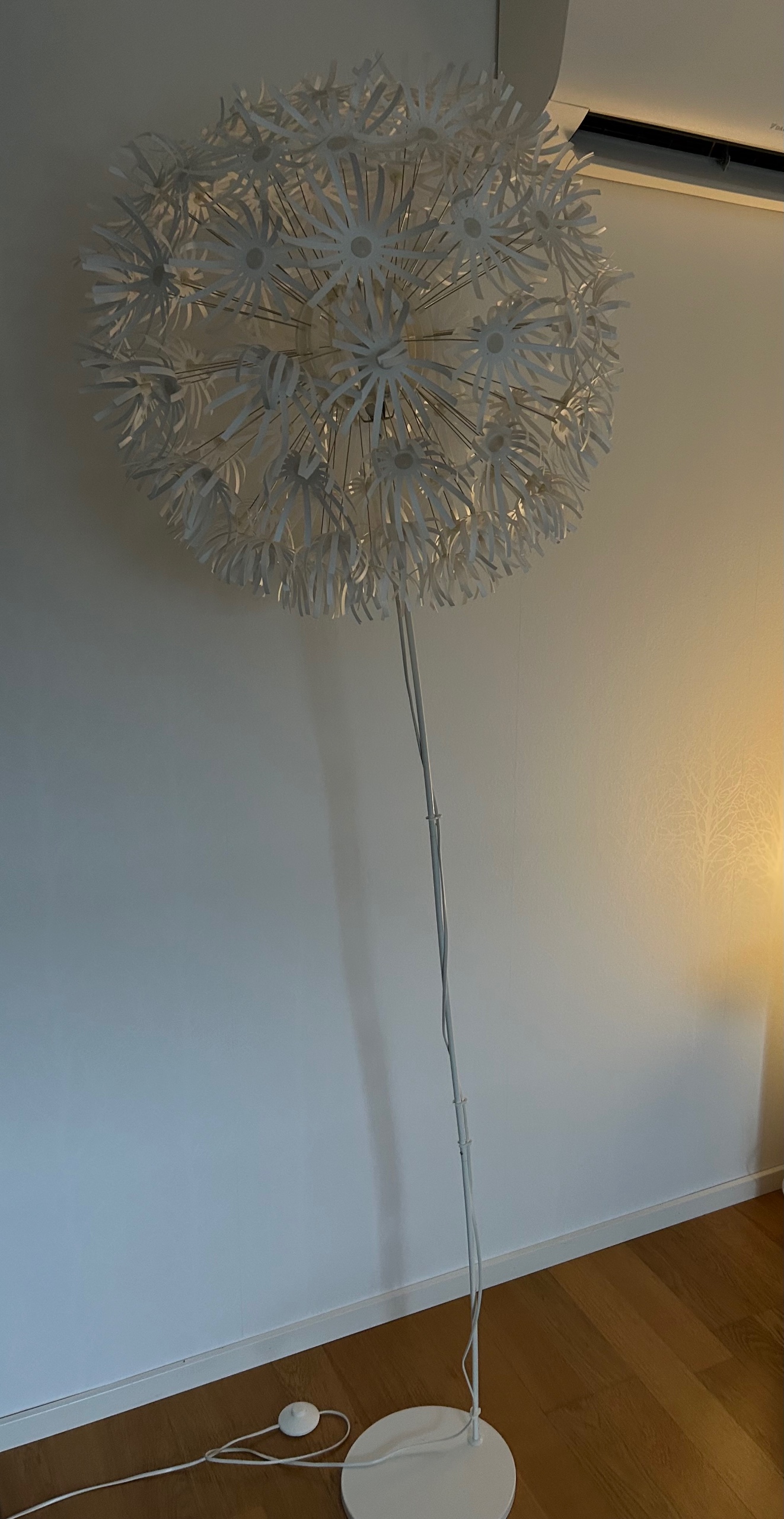 Seller photo