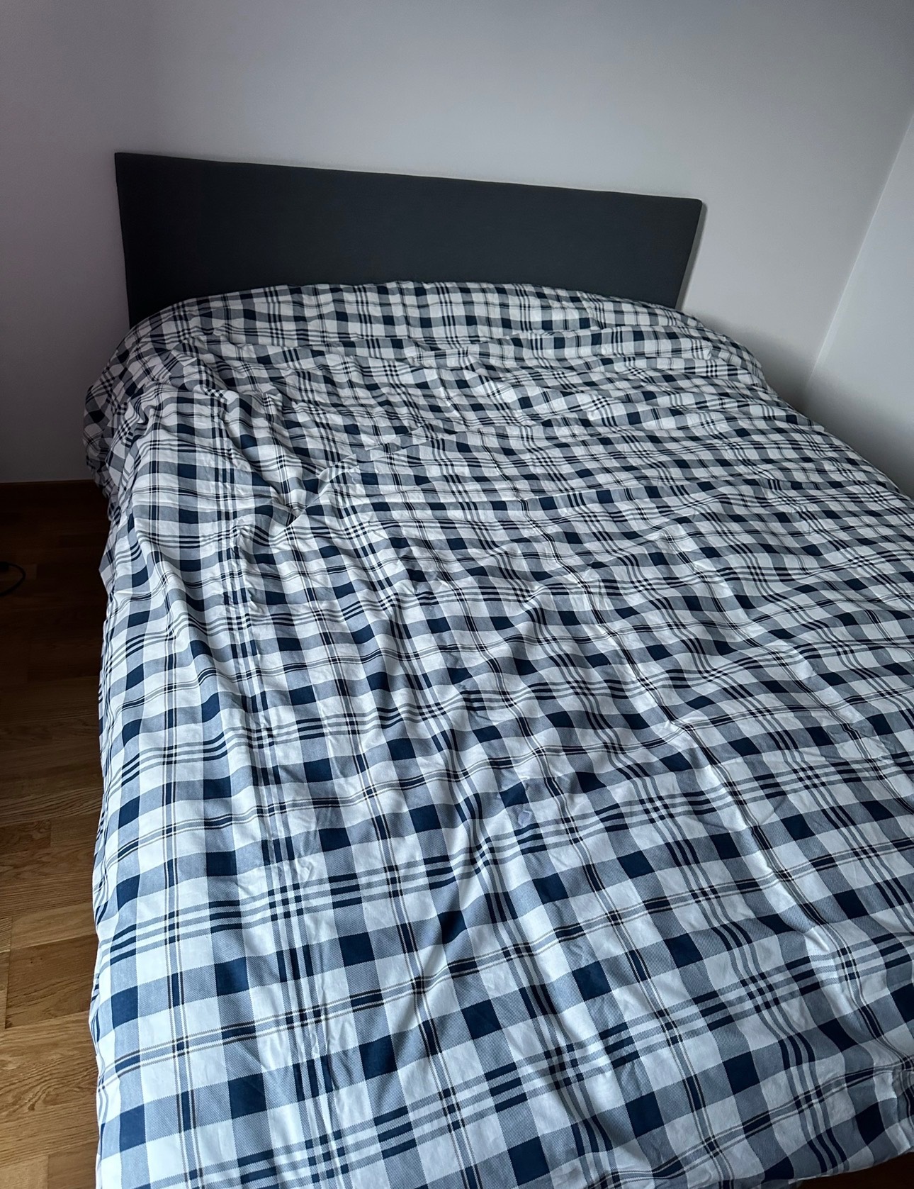 Säljarens foto