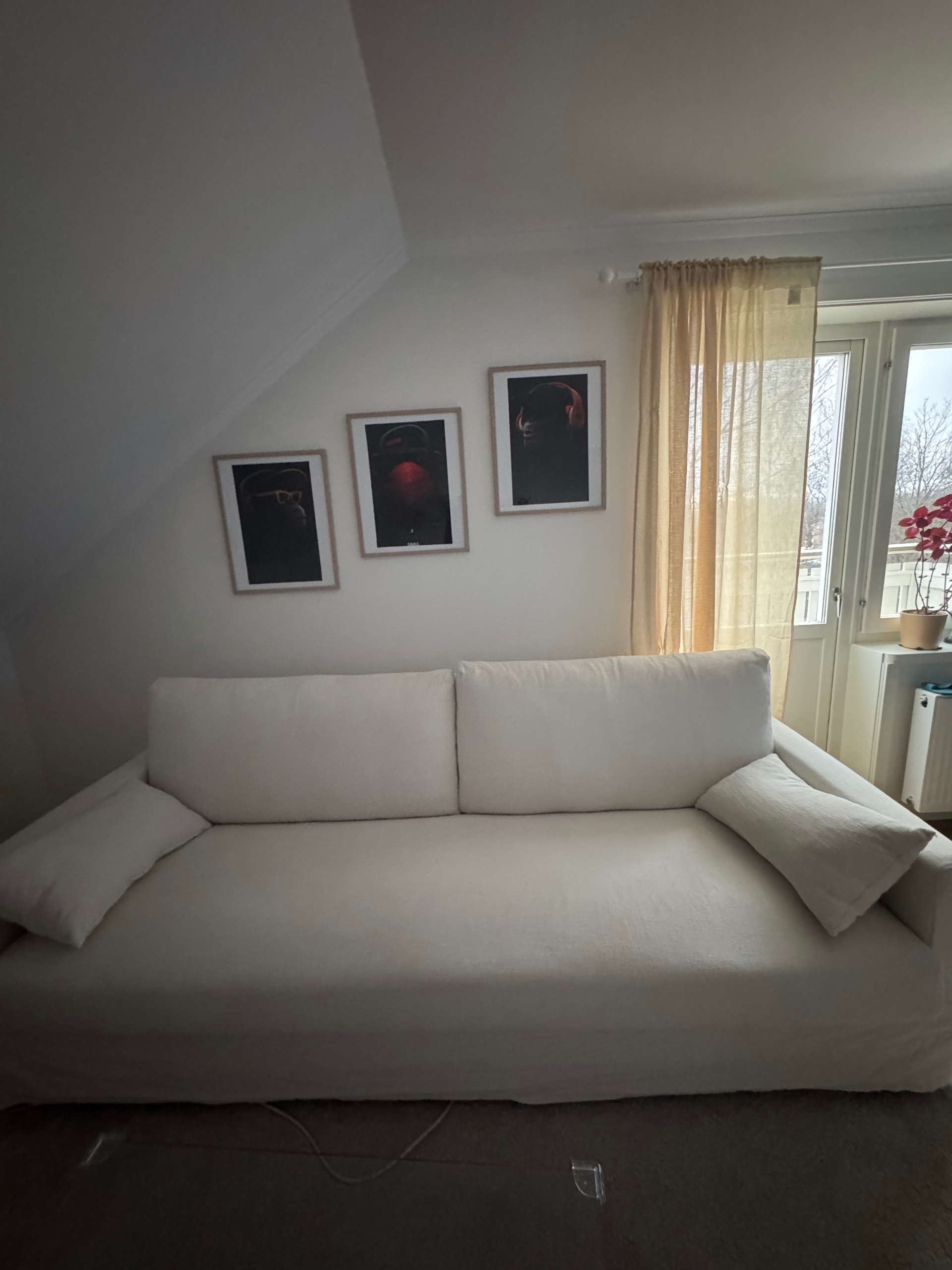 Seller photo