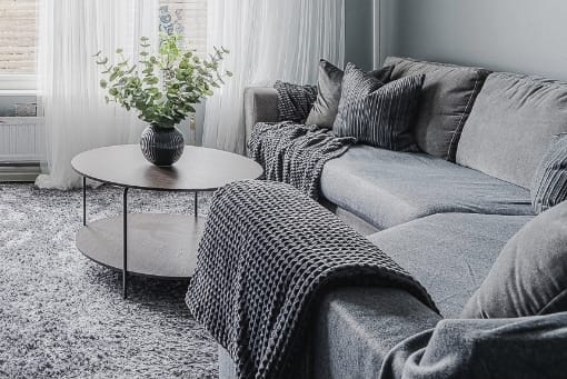 Säljarens foto