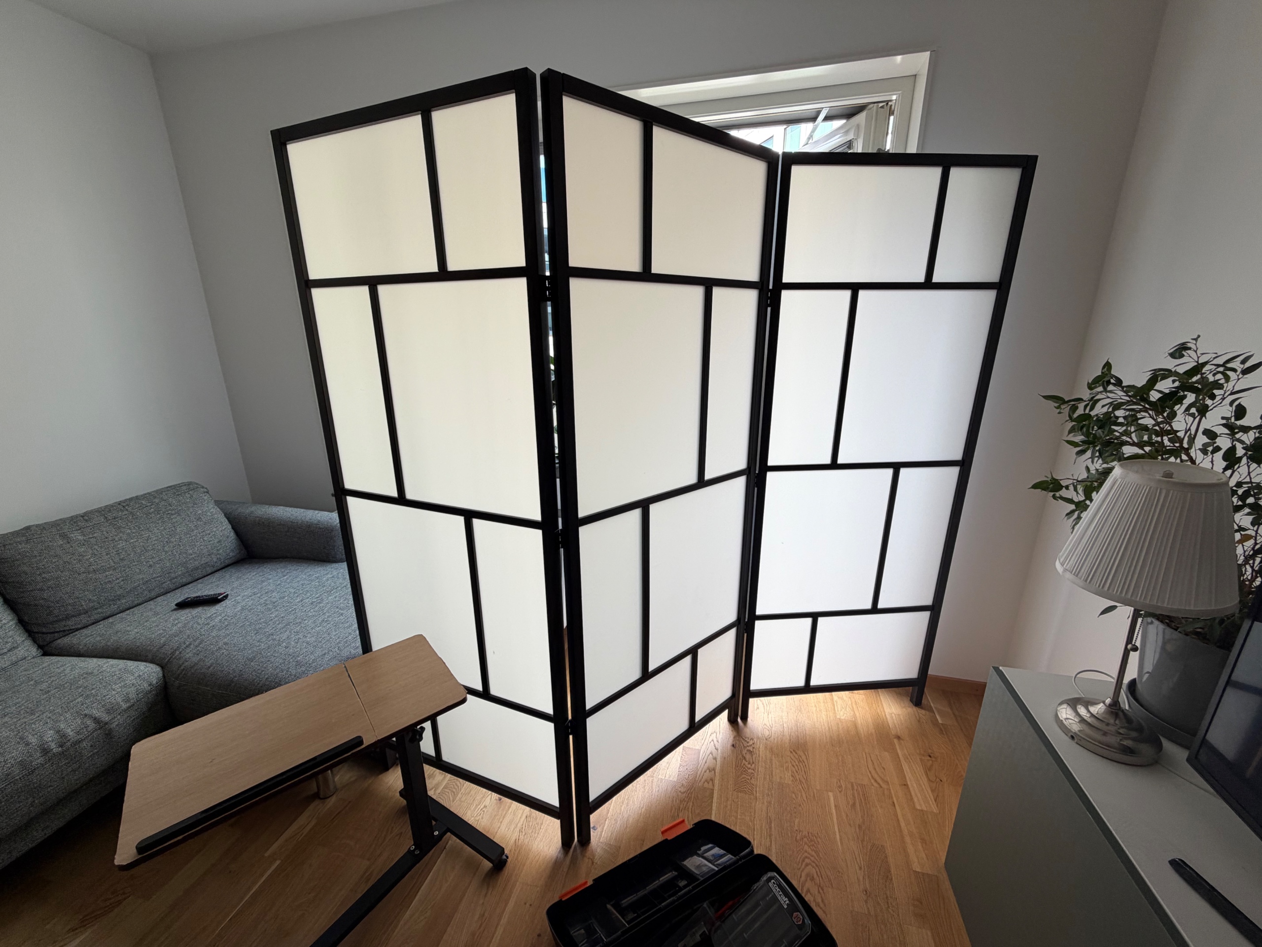 Säljarens foto