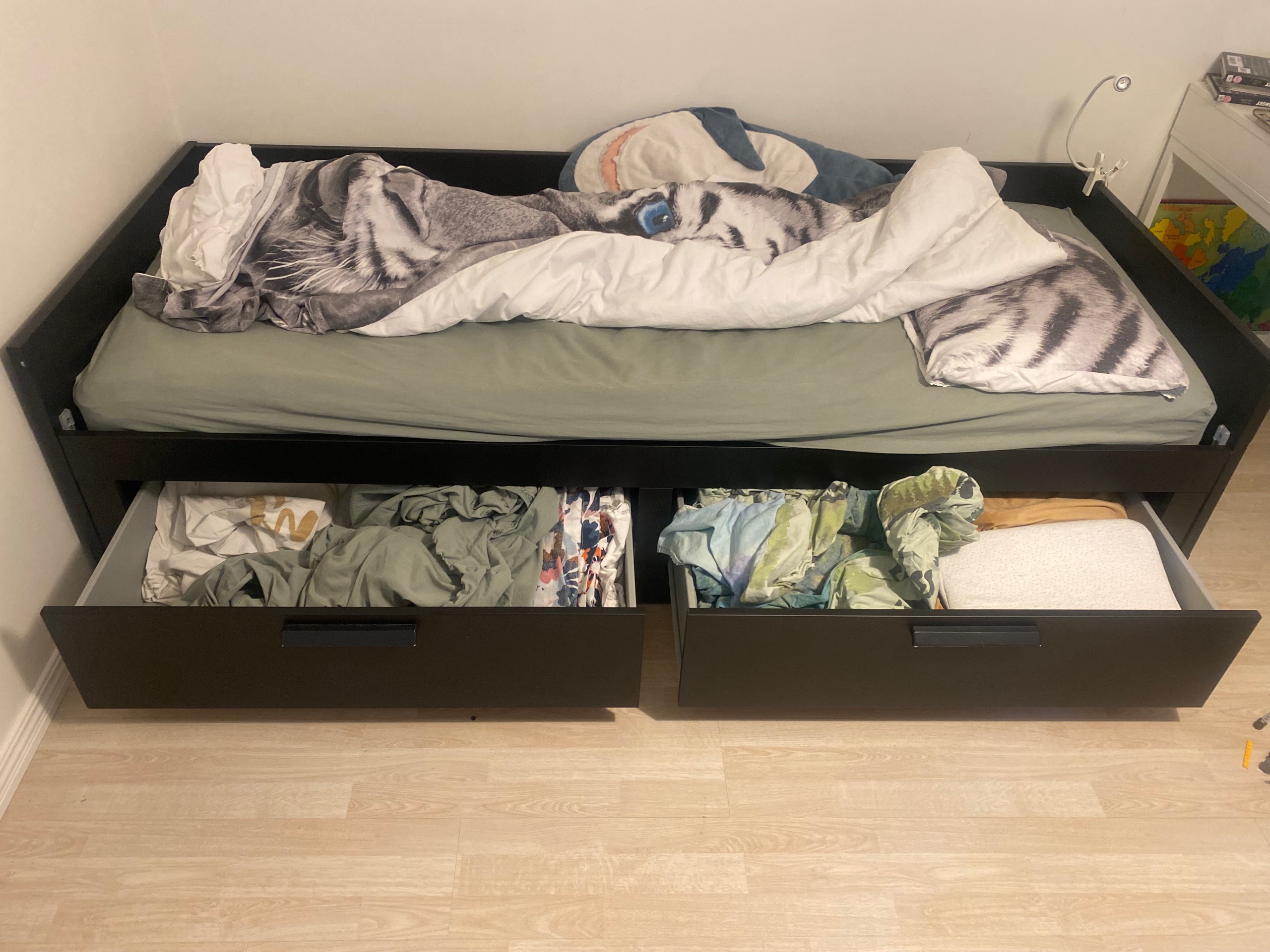 Säljarens foto
