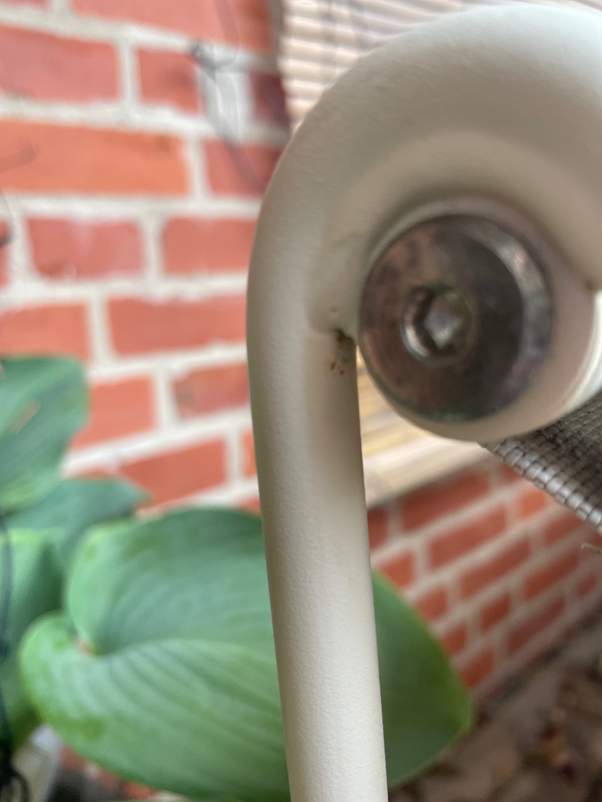 Seller photo