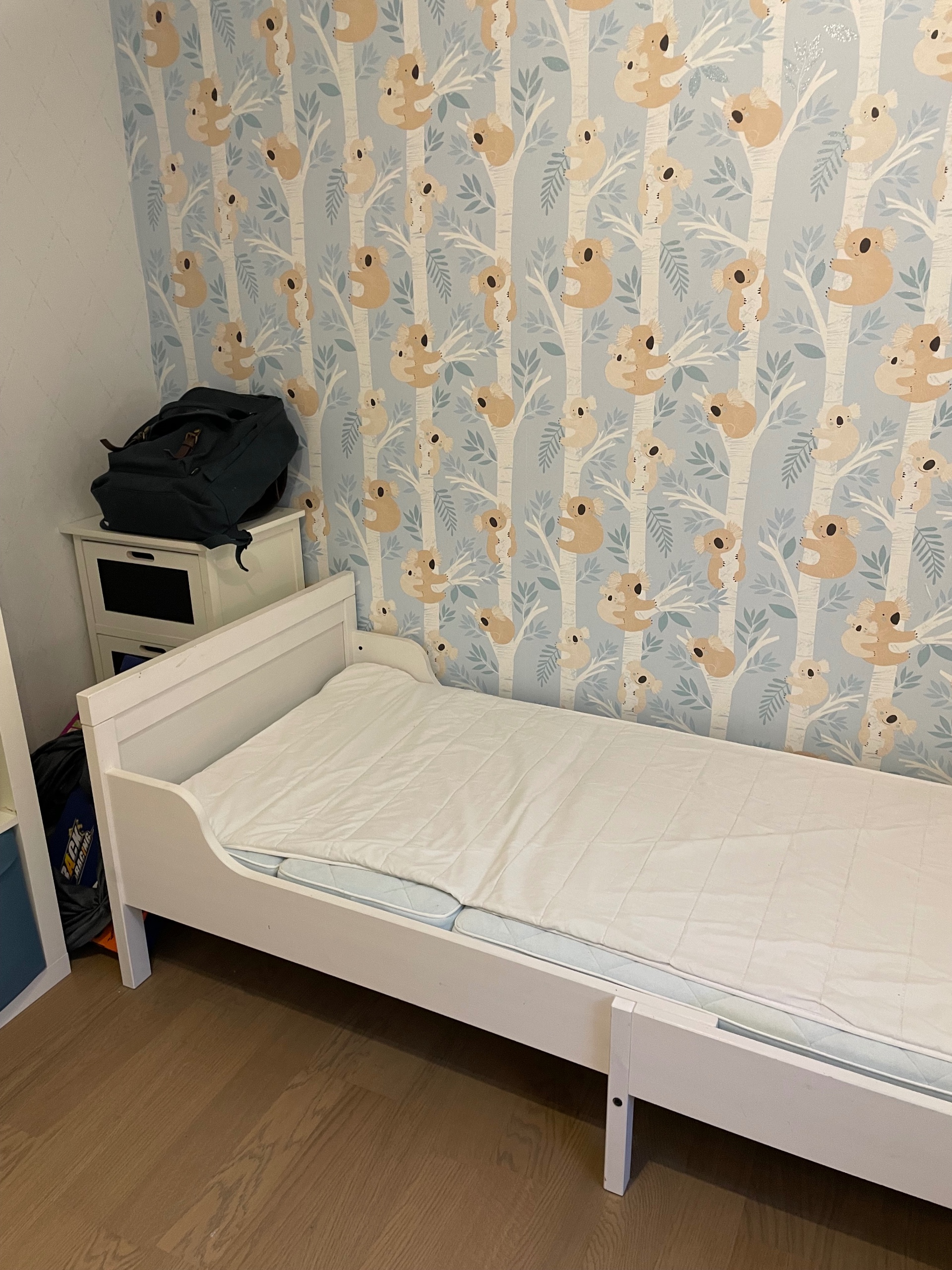 Säljarens foto