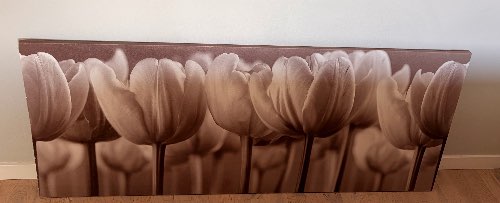 Säljarens foto