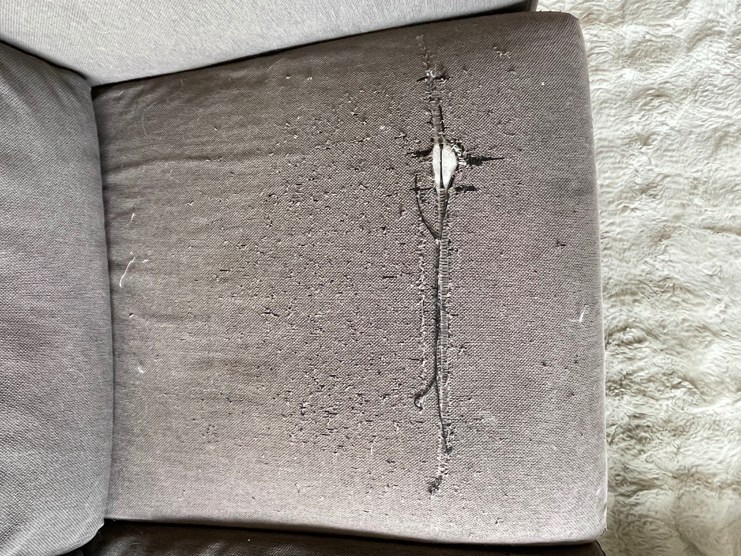 Seller photo