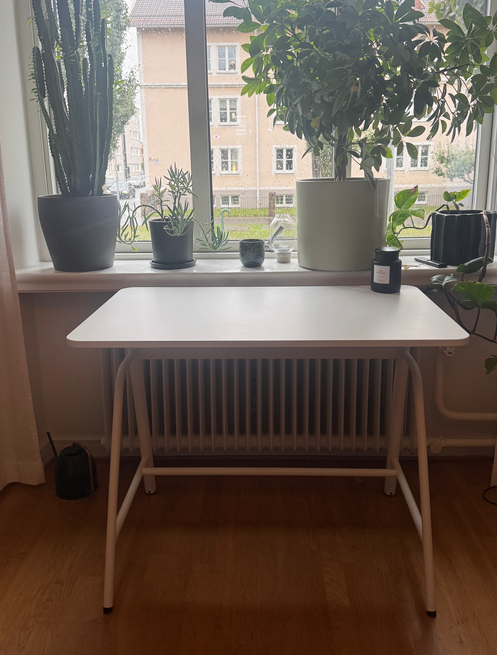Seller photo