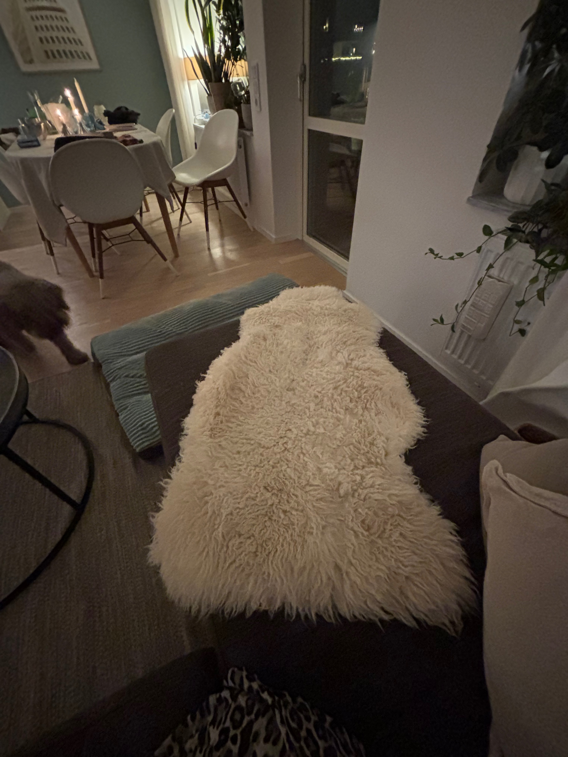 Seller photo