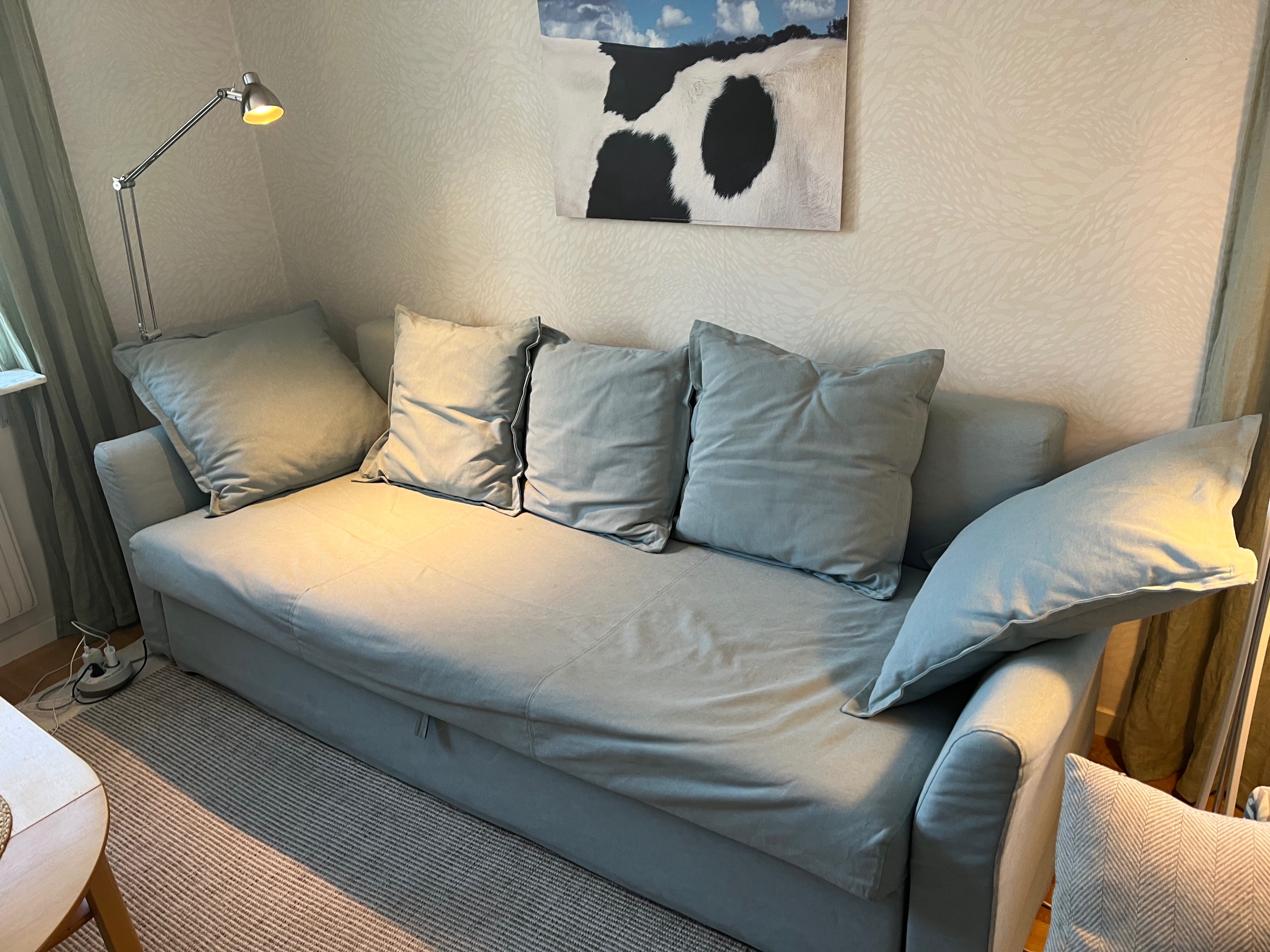 Säljarens foto