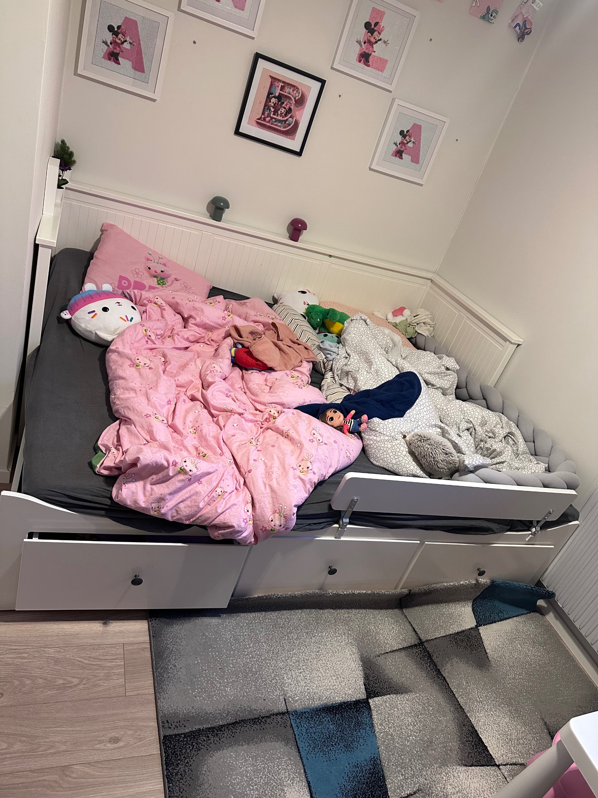Säljarens foto
