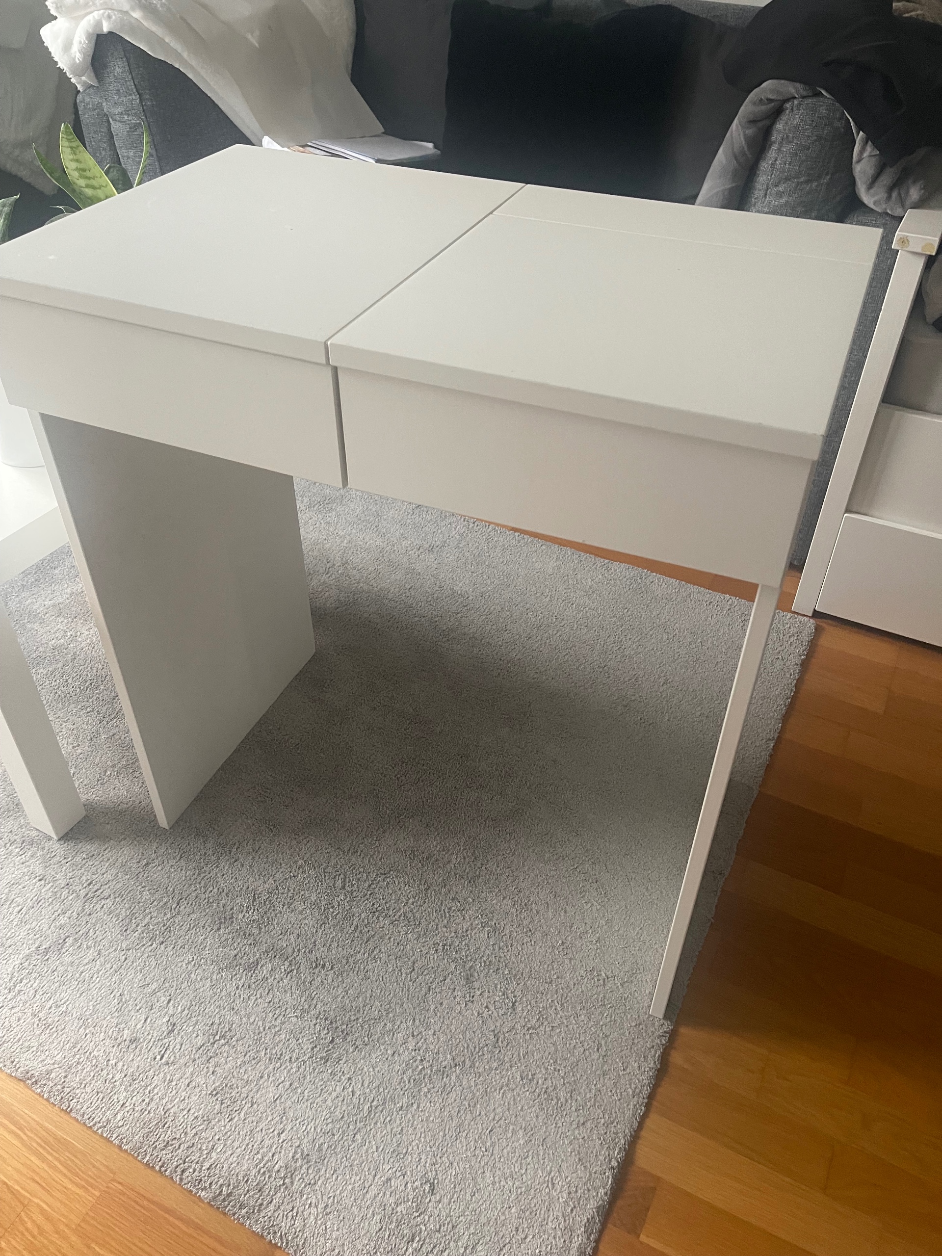 Säljarens foto
