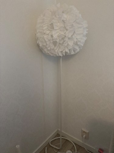 Seller photo