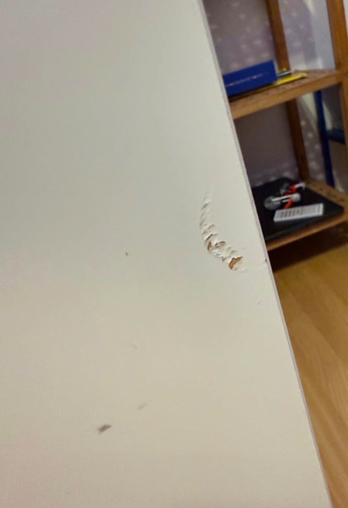 Seller photo