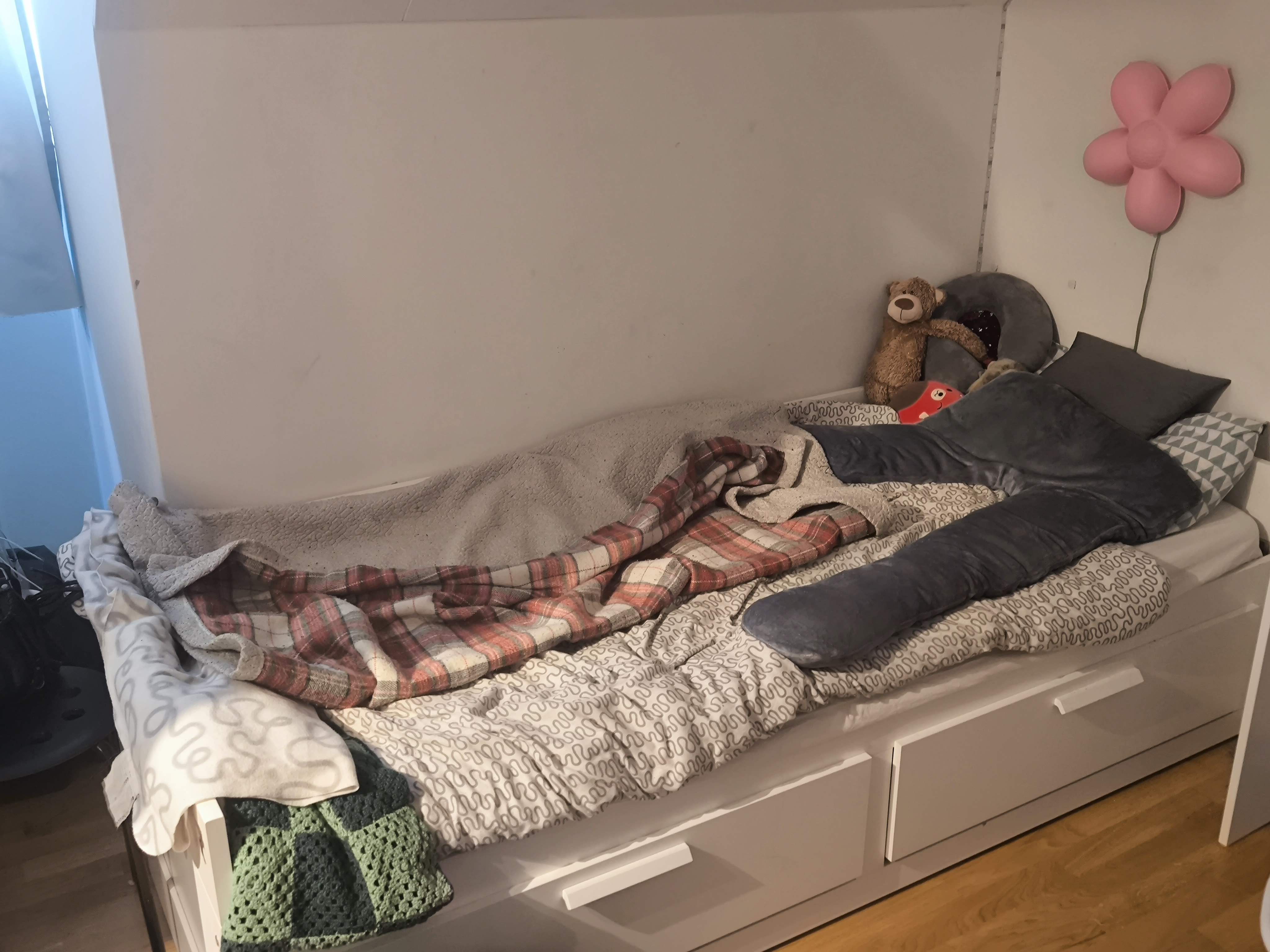 Säljarens foto