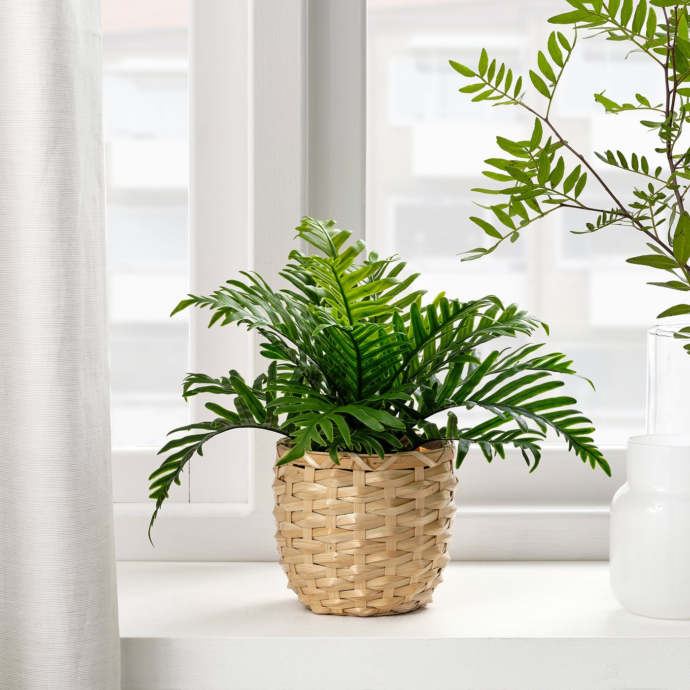 IKEA catalogue photo