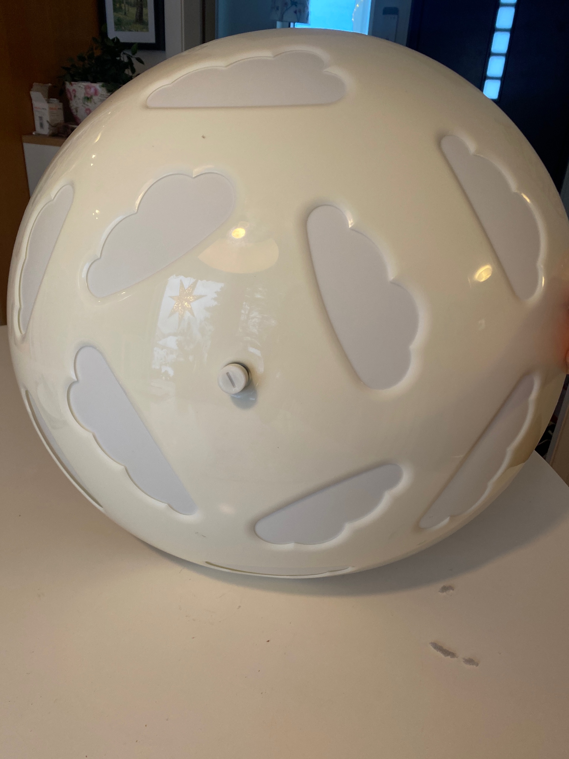 Säljarens foto