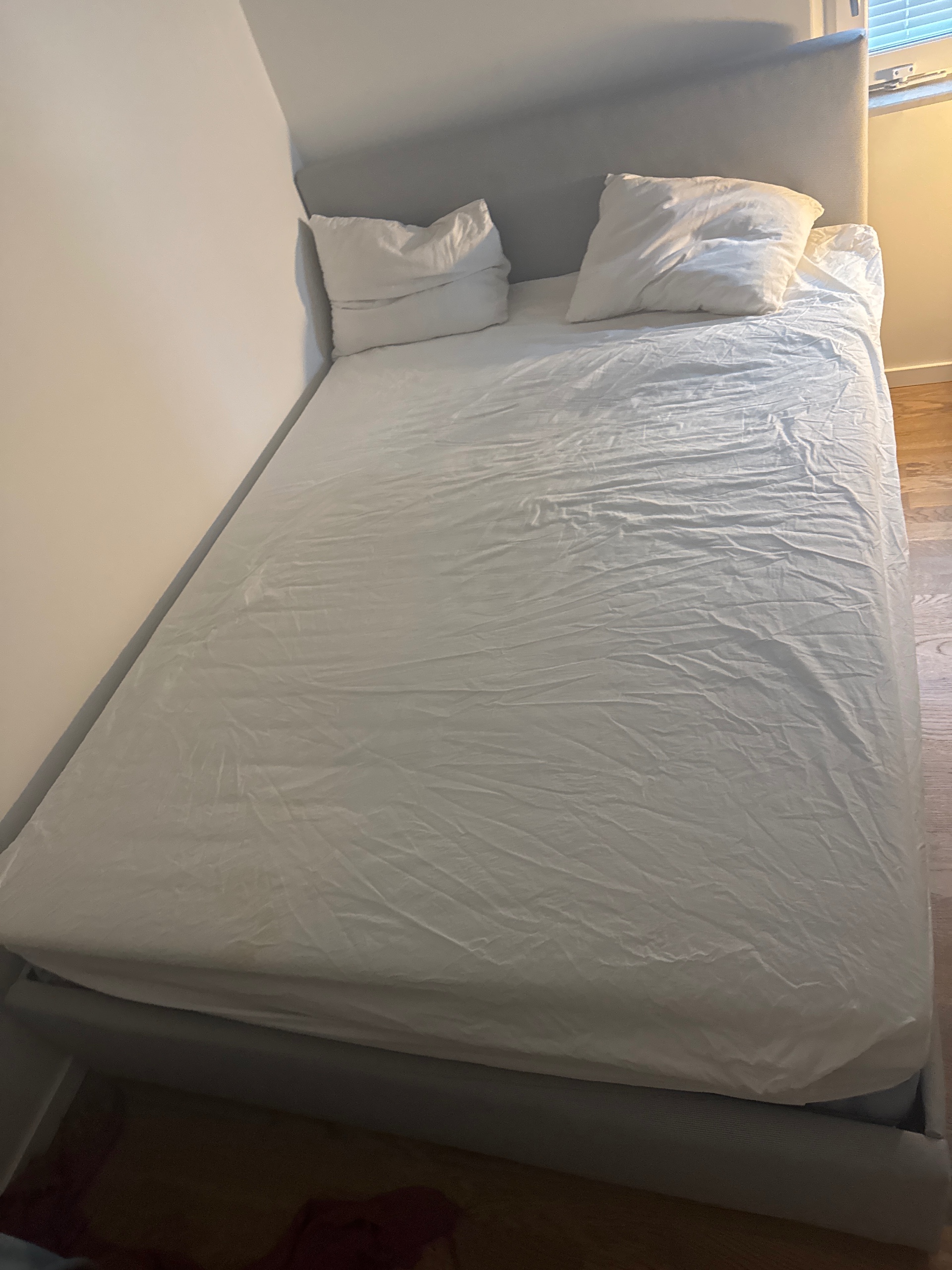 Säljarens foto