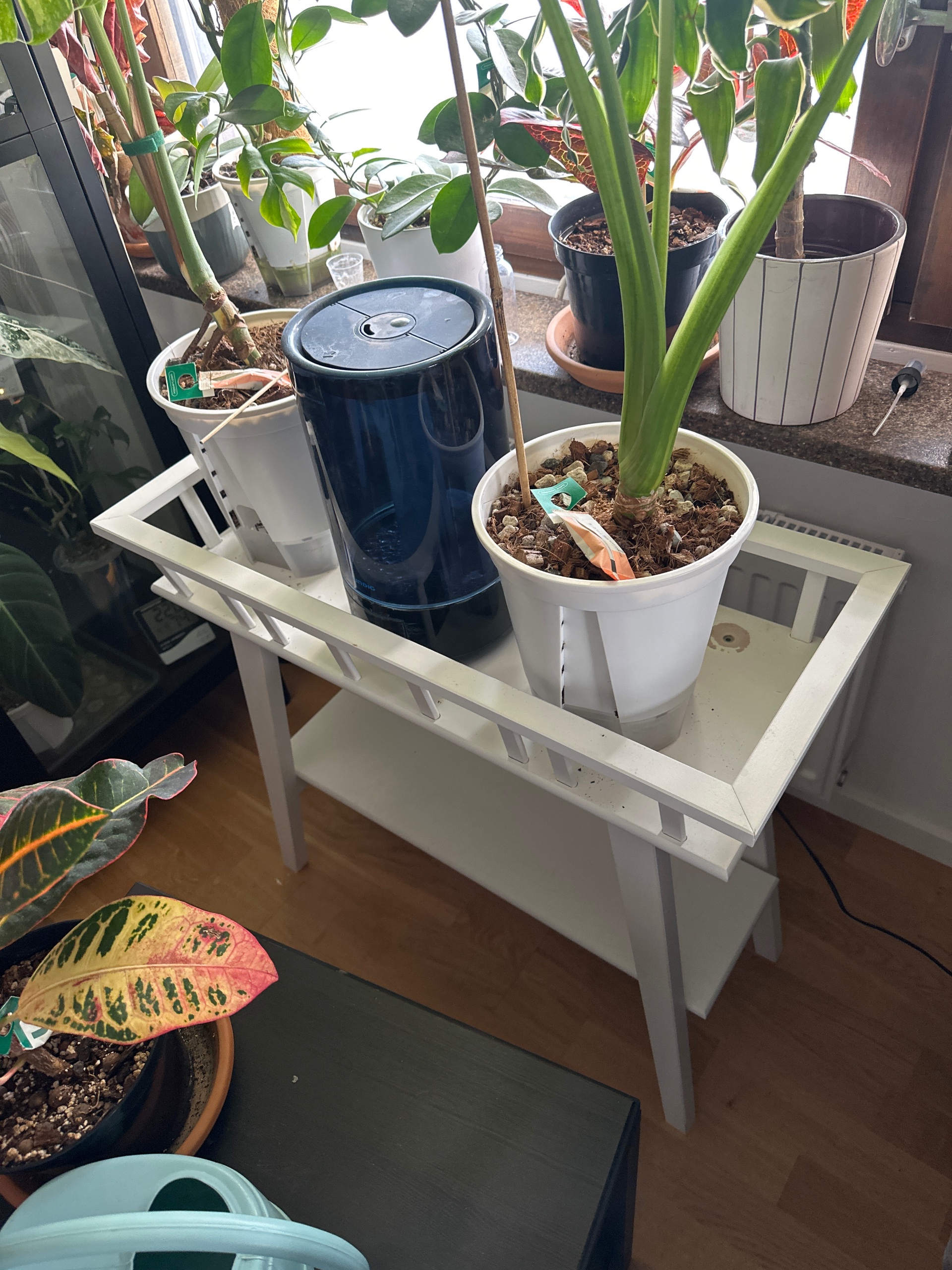 Seller photo