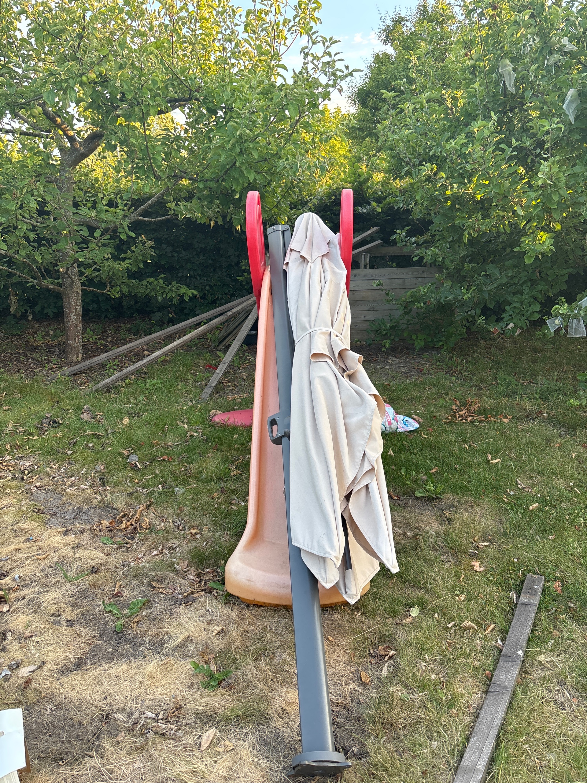 Seller photo