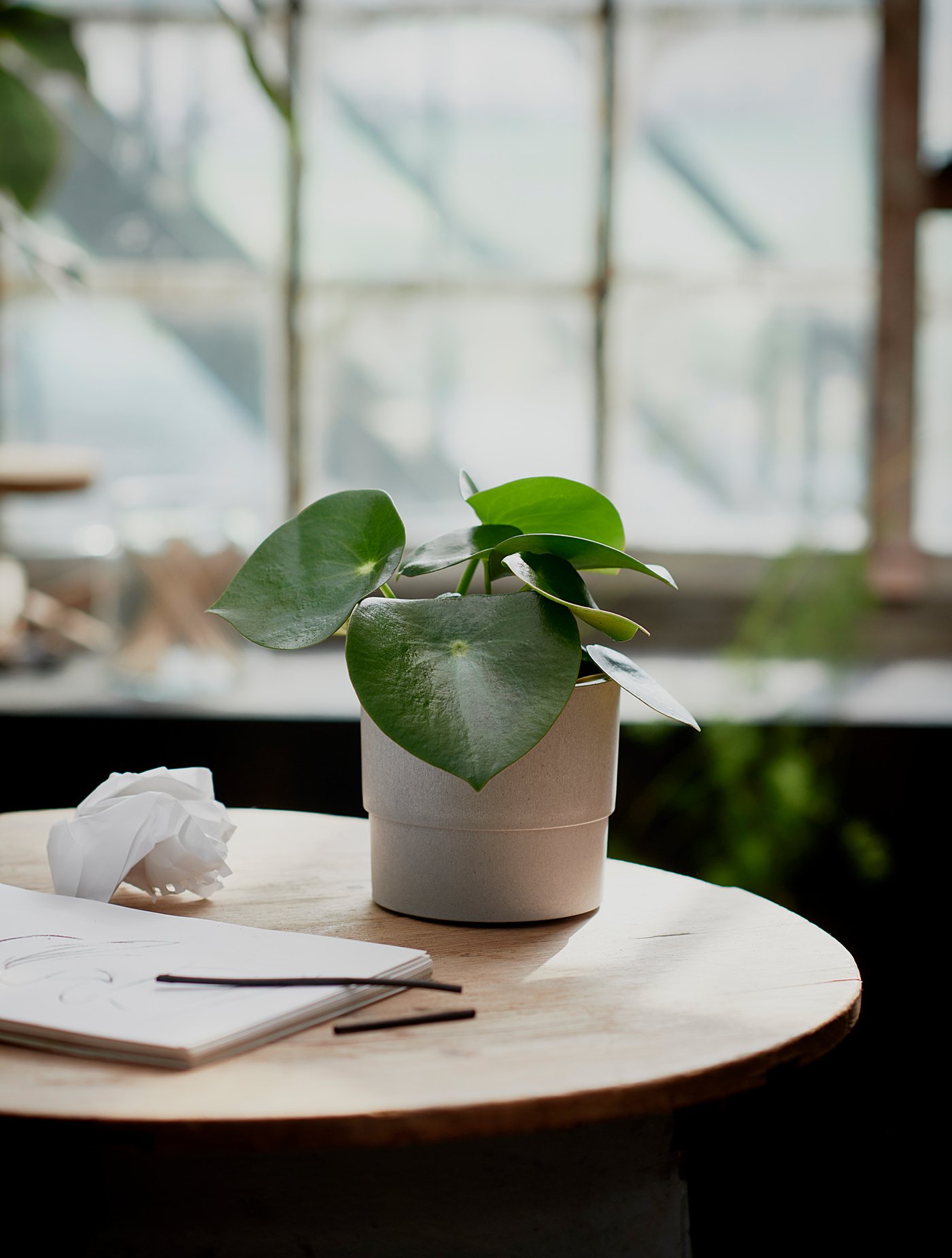 IKEA catalogue photo