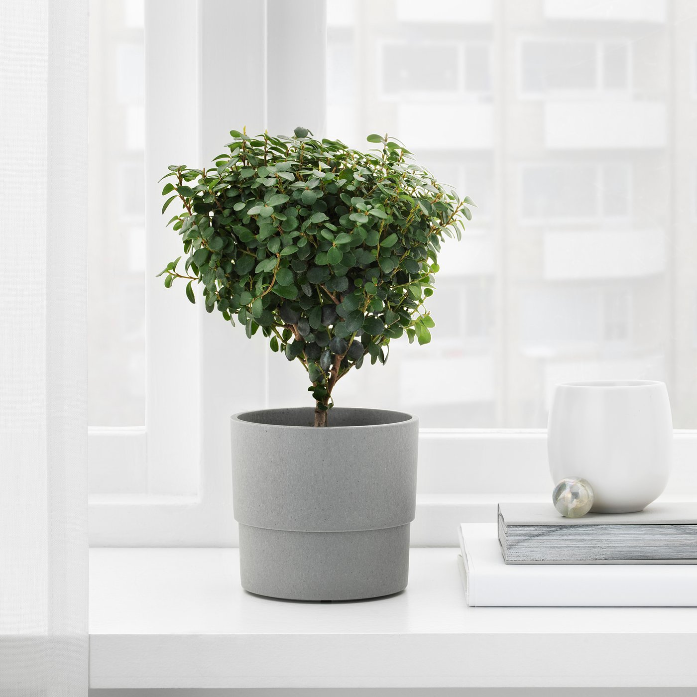 IKEA catalogue photo