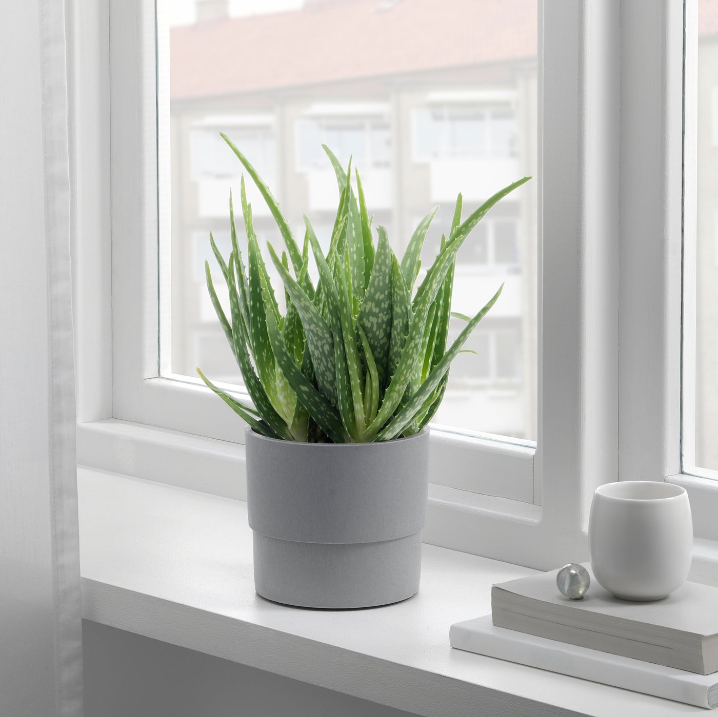 IKEA catalogue photo