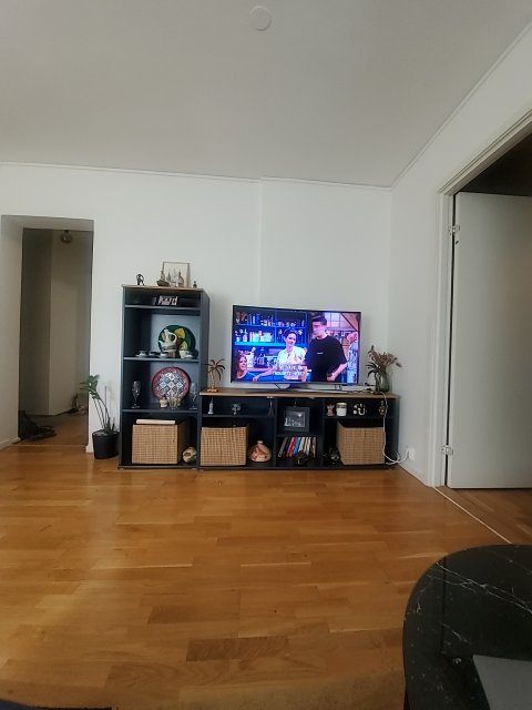 Säljarens foto
